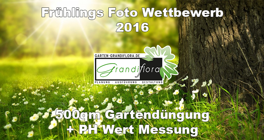 Der Gewinner steht fest – Frühlings Foto Wettbewerb 2016
