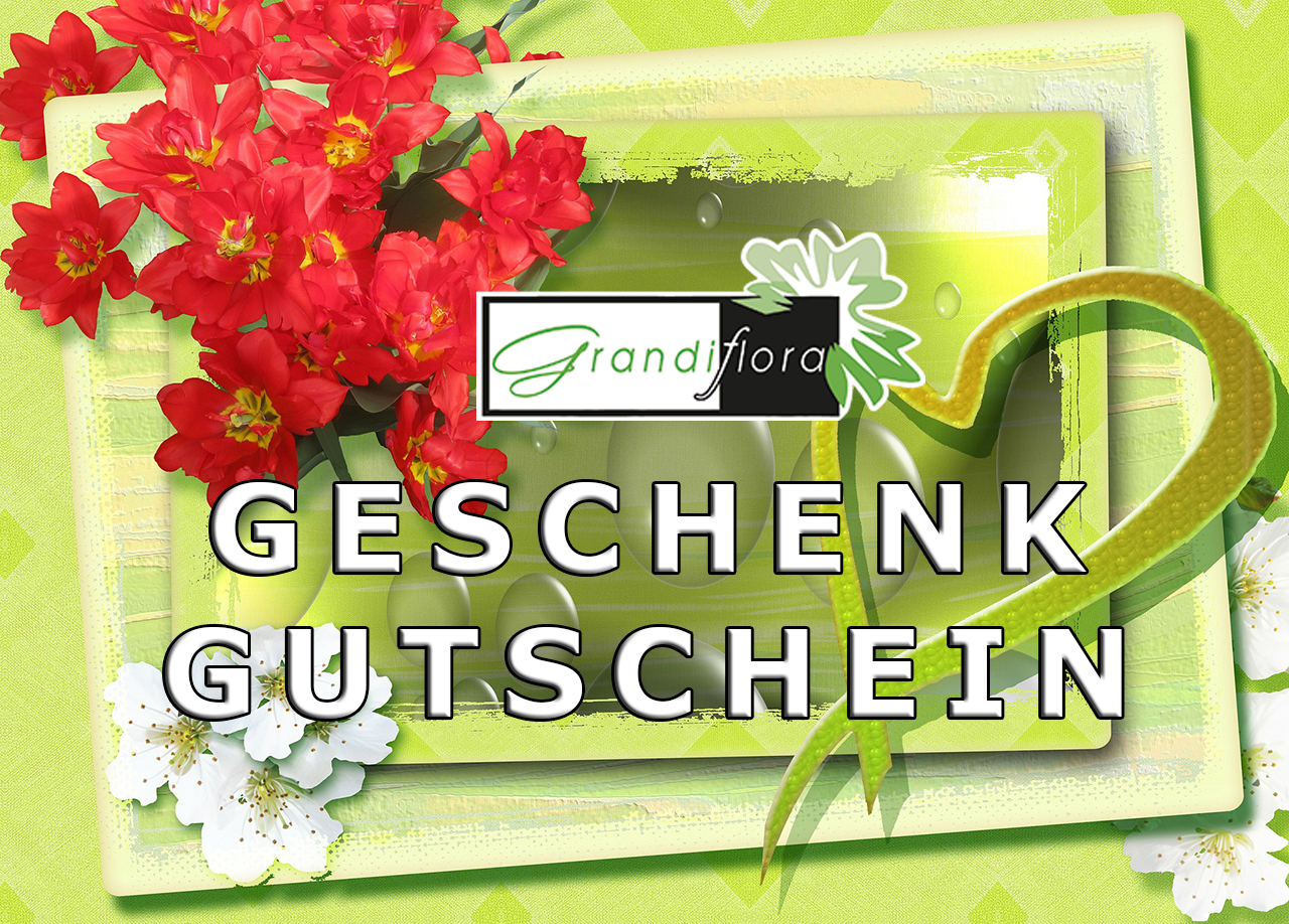 Geschenk Gutschein