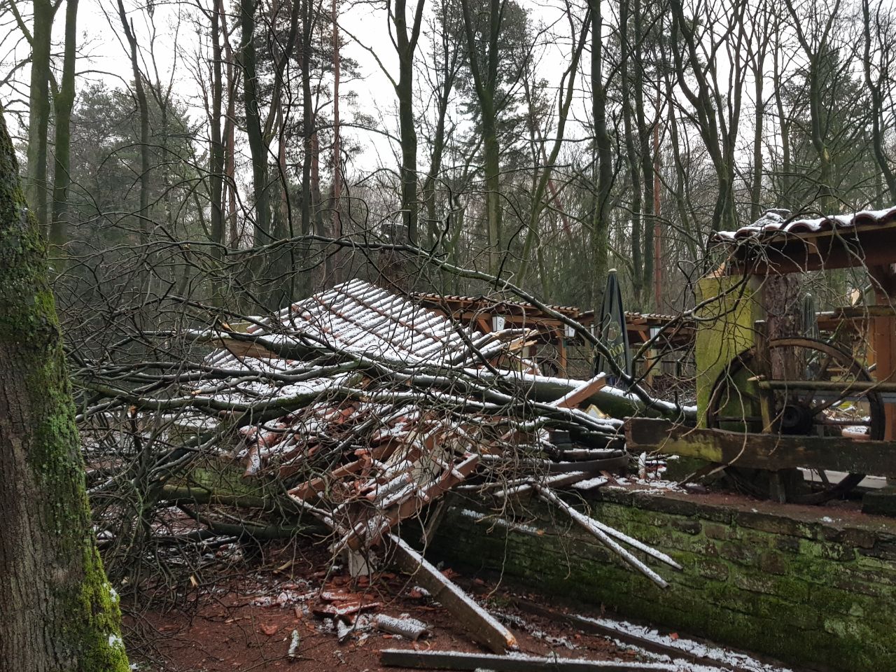 Sturmschaden durch “Frederike”