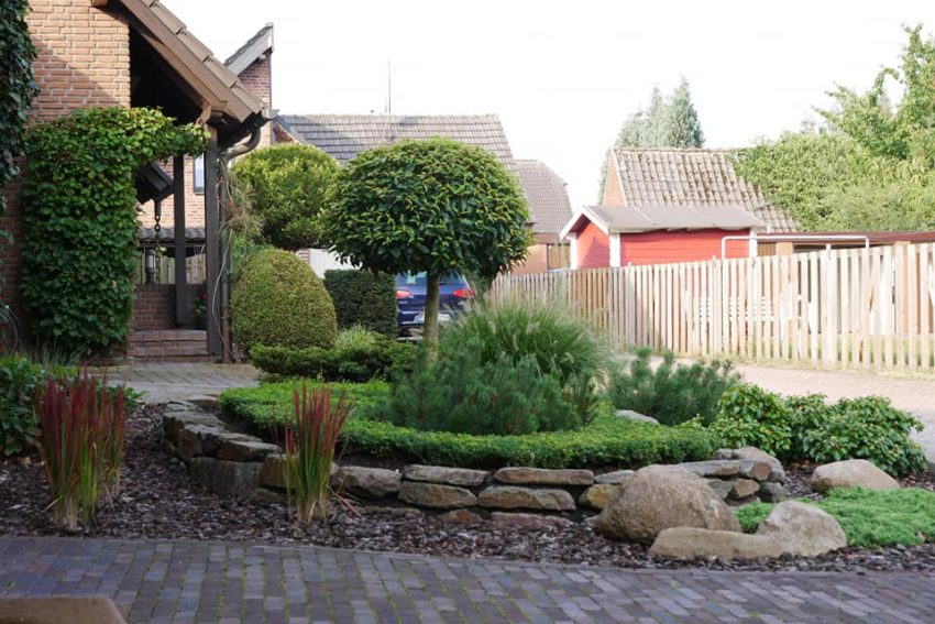 Naturstein mit Buchsbaumersatz › Garten und Landschaftsbau