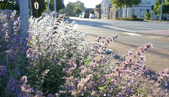 Bocholt
