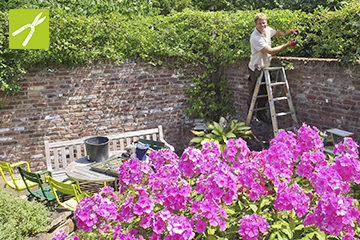Garten Und Landschaftsbau Garten Grandiflora