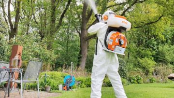 Eichenprozessionsspinner Saison beginnt