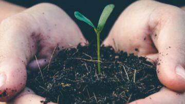 Klimawochen 2023 – Save the Date