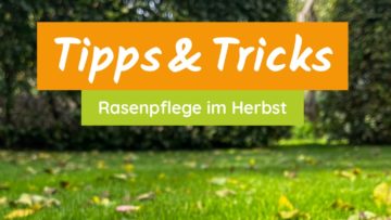 Rasenpflege im Herbst