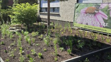 Rundum neue Gartengestaltung