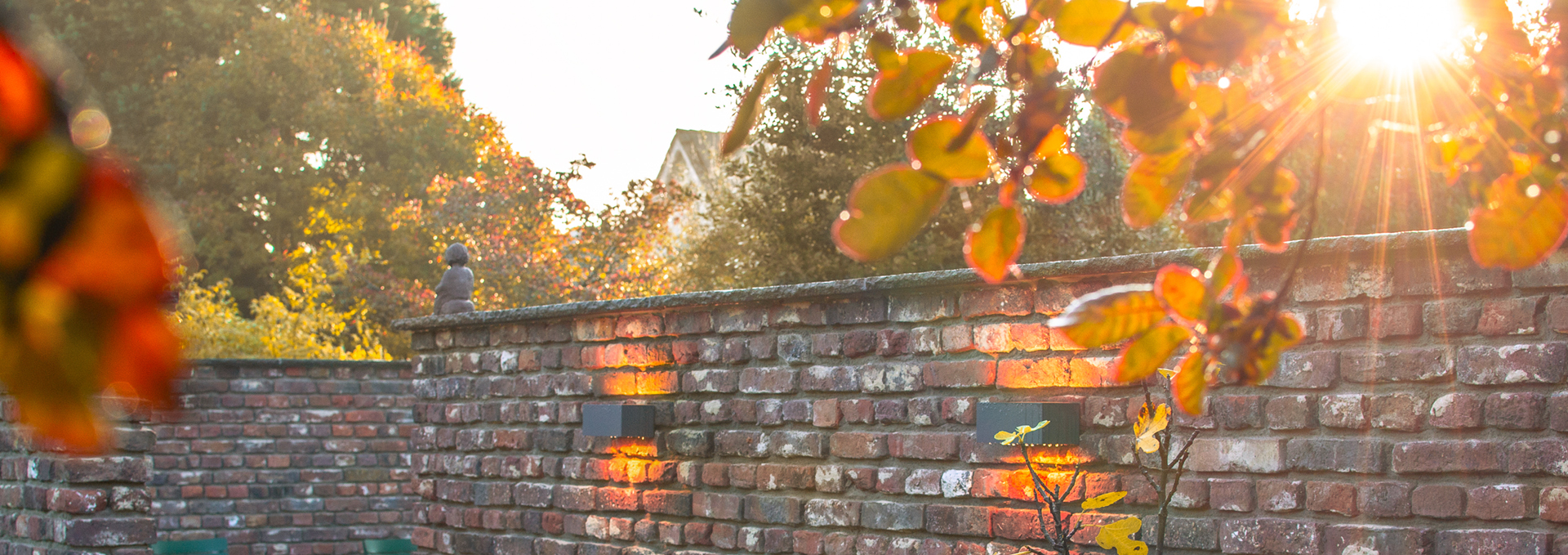 Sorglos laubfrei im Herbst – 
mit unserer Sonderaktion