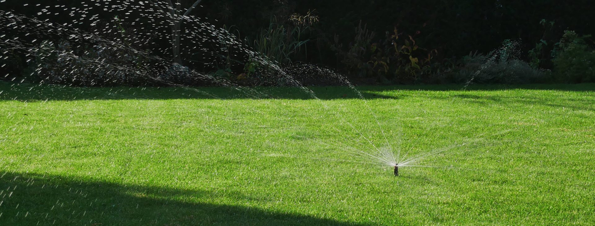 Automatische Gartenbewässerung – mehr Zeit zum Genießen