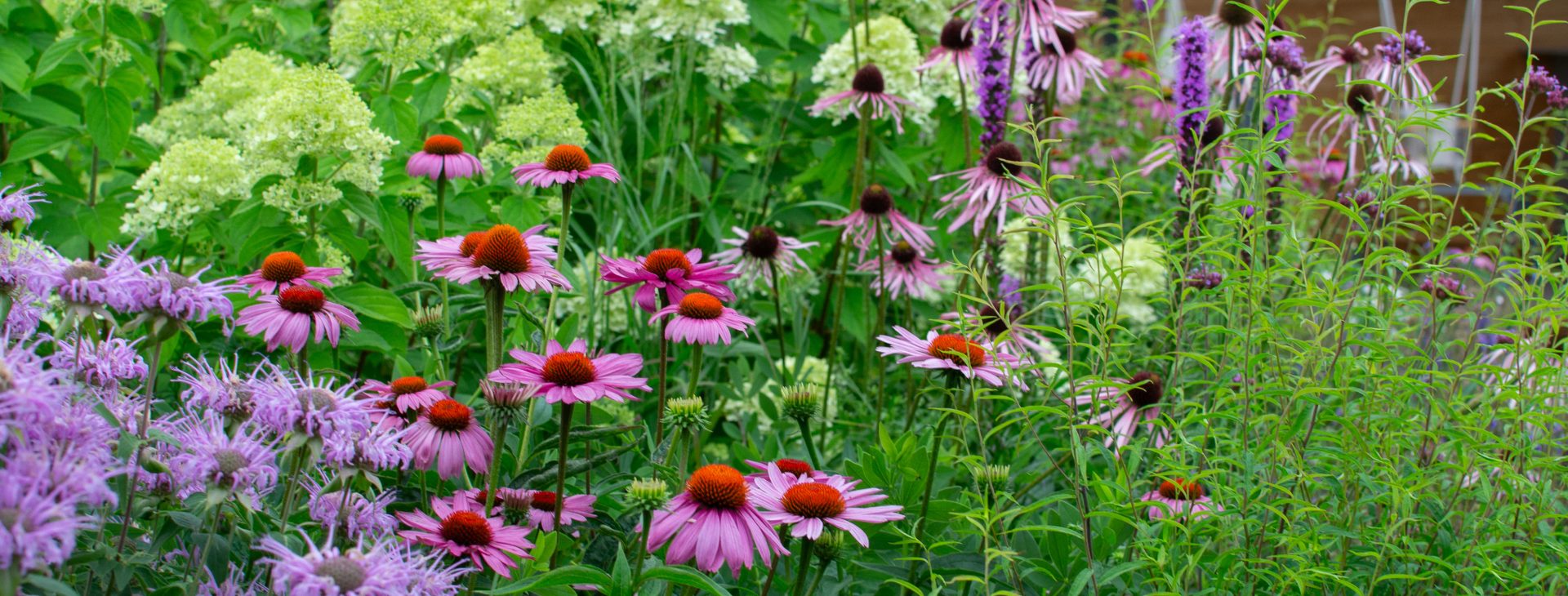 Üppige Blumenbeete dank automatischer Bewässerung