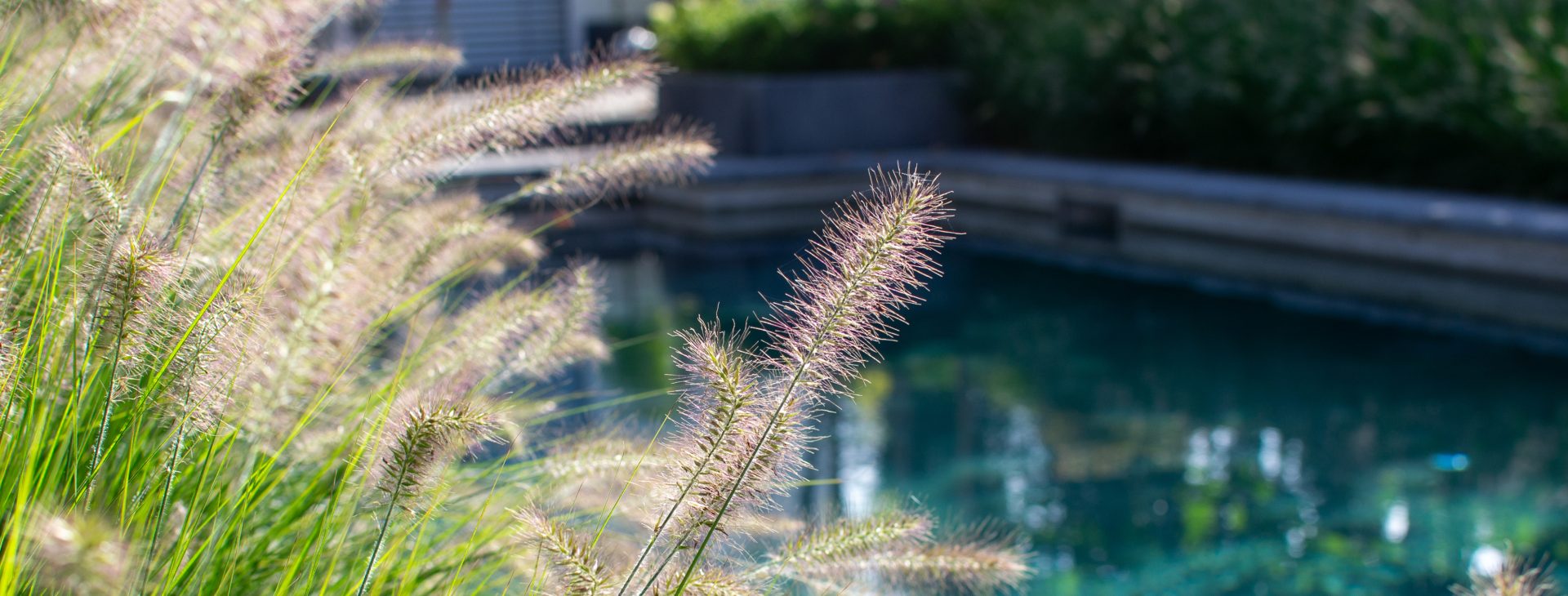 Exklusive Pools für Ihren Traumgarten